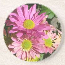 Coaster cor-de-rosa de Daisey porta-copos