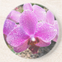 Coaster da orquídea porta-copos