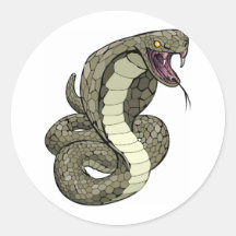 Cobra da cobra aproximadamente a golpear adesivos em formato redondos