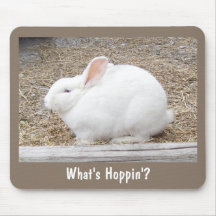 Coelho branco peluches mouse pad