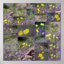 Colagem da flor selvagem do deserto poster