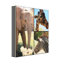 Colagem das canvas do safari impressão em canvas