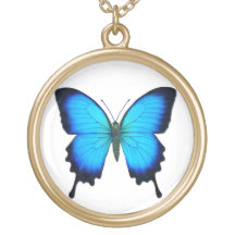 Colar azul da borboleta de Papilio Ulysses