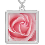 Colar bonito do pendente do rosa do rosa