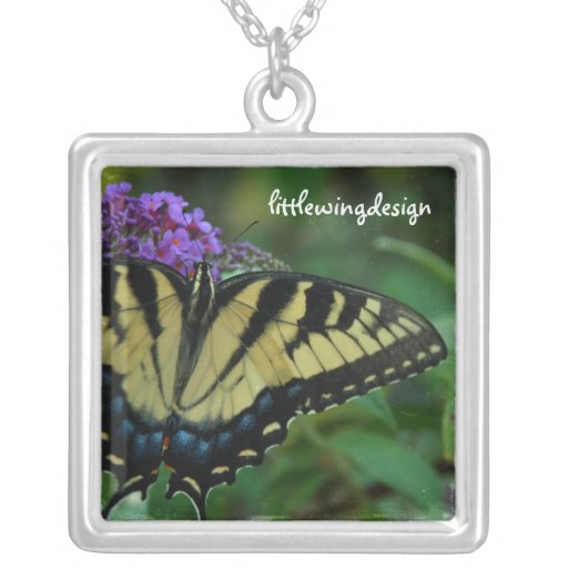 Colar da borboleta do tigre