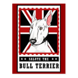 Coleção do cartão de bull terrier cartao postal