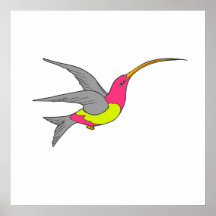 Colibri da urze pôsteres