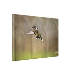 Colibri do envoltório das canvas - o anjo voa a sé impressão de canvas esticada