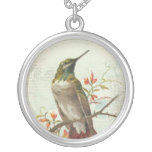 Colibri do vintage bijuterias