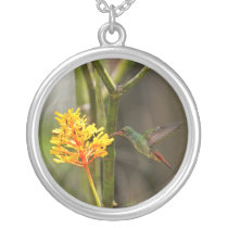 Colibri e flor tropicais colares