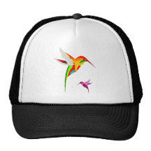 Colibris do vôo bonés