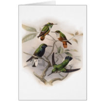 Colibris em vôo - personalizado cartao