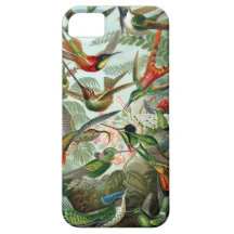 Colibris iPhone 5 Capas