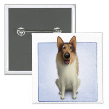 Collie (casaco áspero) boton
