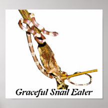 Comedor gracioso do caracol posters