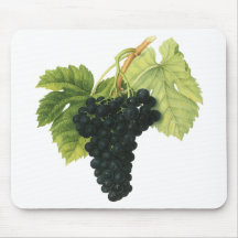Comida do vintage, fruta, uvas do vinho tinto, fol mouse pads