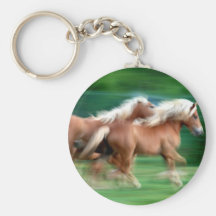 Competindo o chaveiro dos cavalos do Palomino