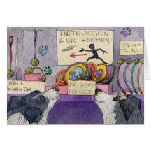 Compra da janela dos cães de border collie cartao