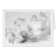 Condolence Card Cartões