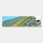 Conjunto de cactos do Saguaro Adesivo