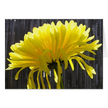 Convite amarelo da mãe cartoes