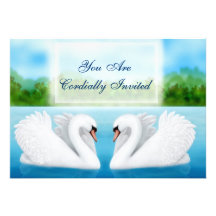 Convite das cisnes dos pássaros do amor