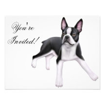 Convite de Boston Terrier