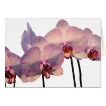 Convite de flutuação das orquídeas cartão