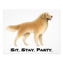 Convite do golden retriever