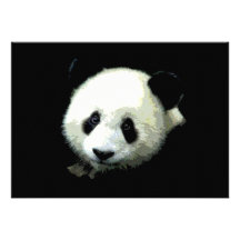 Convite do urso de panda