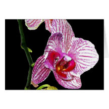 Convite dramático da orquídea cartao