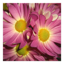 Convites cor-de-rosa das mães