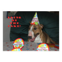 Convites de festas de aniversários de bull terrier