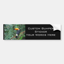 COR COMPLETA DA FOTO DE TOCO TOUCAN ADESIVOS
