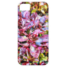 Cor de água capa de iPhone 5 Case-Mate