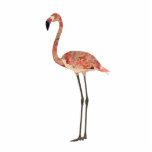 Cora a escultura floral do flamingo fotoesculturas
