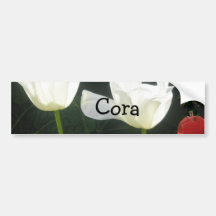 Cora Adesivo