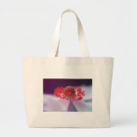 Cores do saco/bolsa do amor