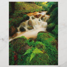 Cores naturais luxúrias panfletos personalizados
