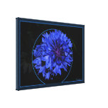 Cornflower Impressão De Canvas Envolvida