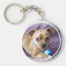 Corrente chave da chihuahua chaveiros