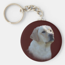 Corrente chave de labrador retriever chaveiro