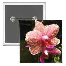 Corsage do botão da orquídea boton