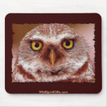 CORUJA BONITA Mousepad