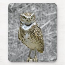 Coruja no cargo Mousepad