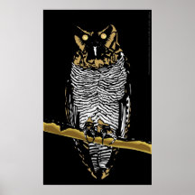 Coruja Posters