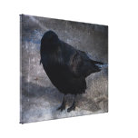 Corvo sujo; Nenhum texto Impressão De Canvas Esticada