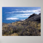 Costa de Oahu Impressão