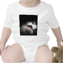 Costume e provérbios rudes do gato t-shirts