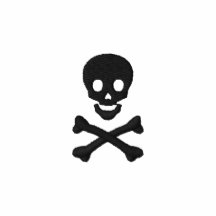 Crânio e Crossbones Moleton Bordado